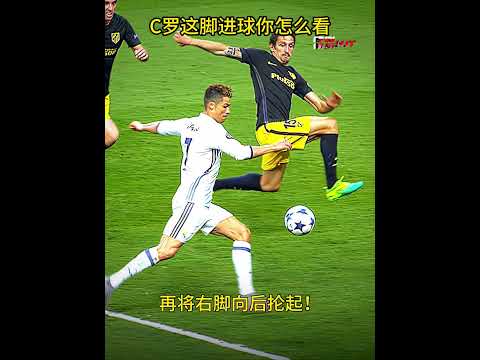 刘浩帆,武汉小子在,浙江育才梦,星空体育平台官网,星空体育下载,星空体育直播,星空体育入口,星空体育娱乐